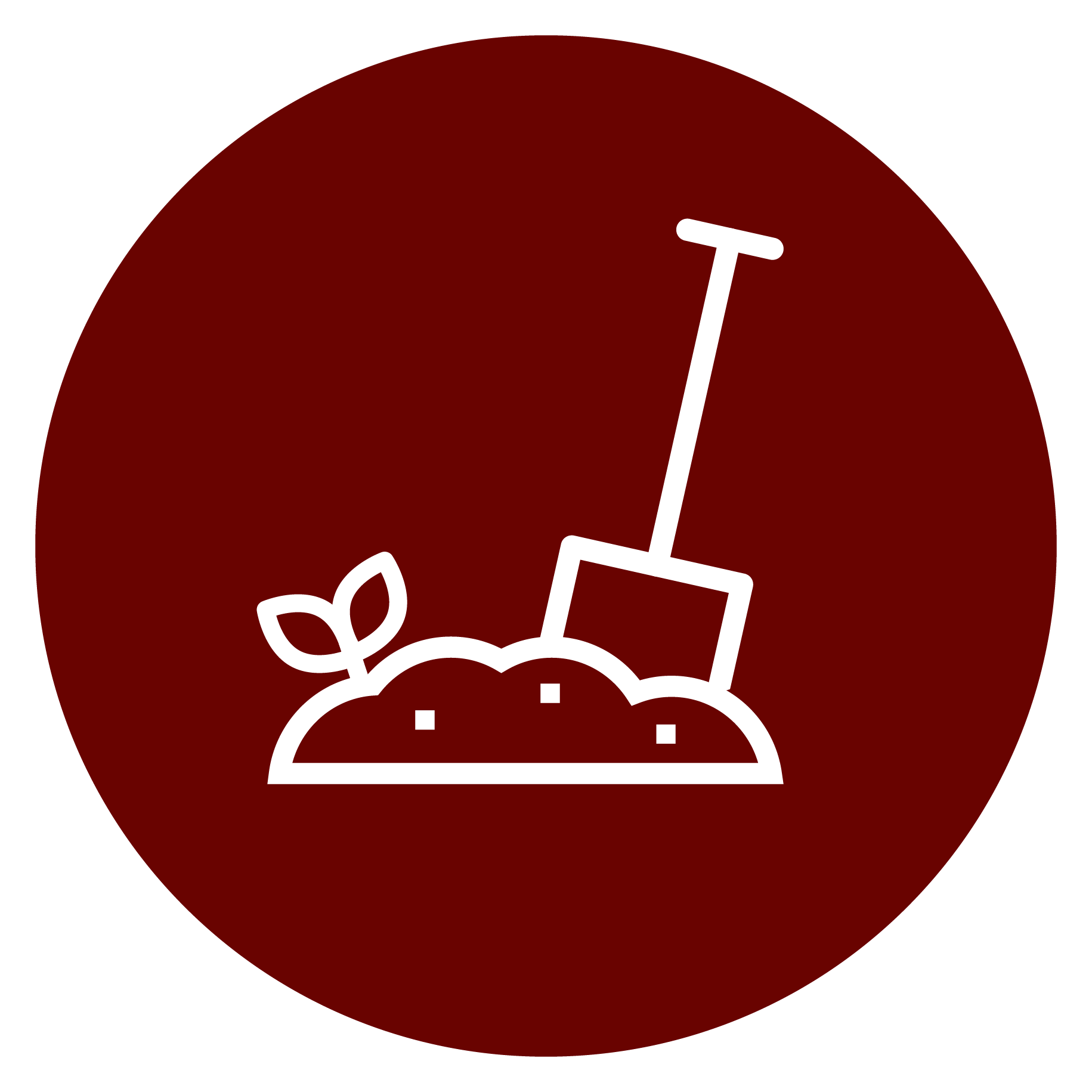 EDIA Foundation
